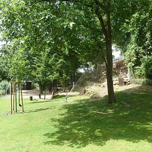 Persian gazelle enclosure