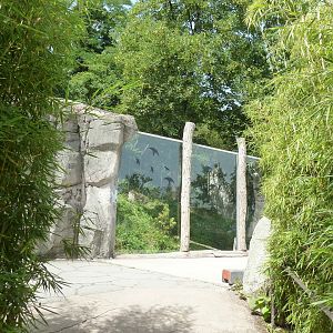 Snow leopard enclosure