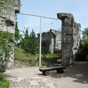 Snow leopard enclosure