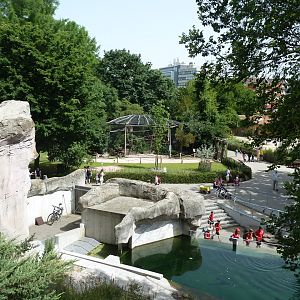 Viewing point above penguin pool