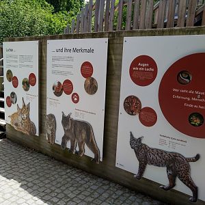 European lynx information board