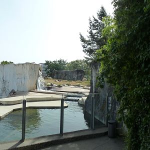 Polar bear enclosure