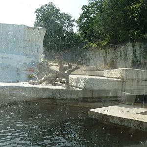Polar bear enclosure