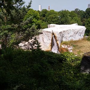 Polar bear enclosure