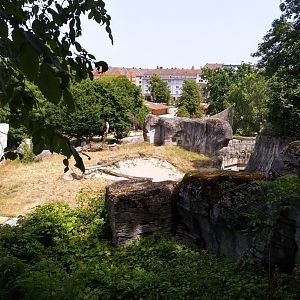 Polar bear enclosure