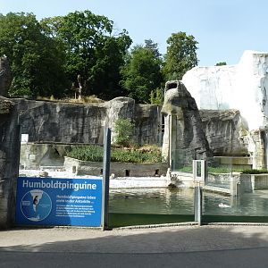 Humbold pinguin enclosure