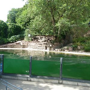 Humboldt pinguin enclosure