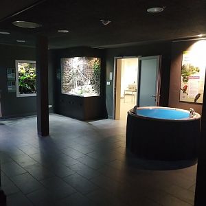 Exotenhaus - Poison dart frog room