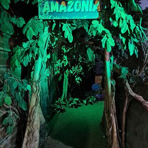 Entrance to Amazonia room