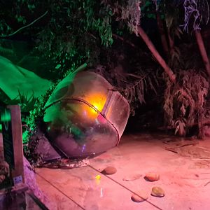 Second room - Amazonia