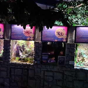 Second room - Terrariums