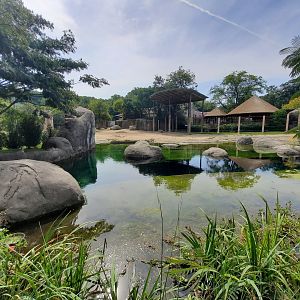 Elephant Crossing North Pool