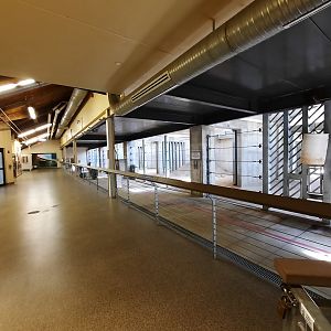 African Elephant Crossing Night Stalls