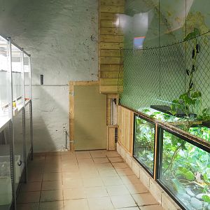 Crypt - Amphibian breeding room, 2022-09-15