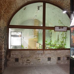 Crypt - Amphibian breeding room and part of public terrarium room, 2022-09-15