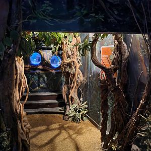 Second room - View into central tropical tank