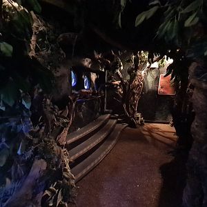 Second room - View into central tropical tank