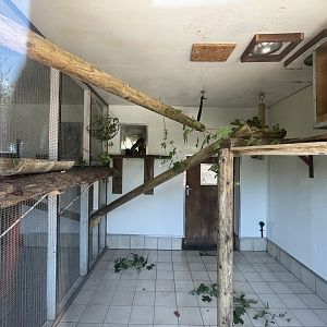 Primate Indoor Quarters