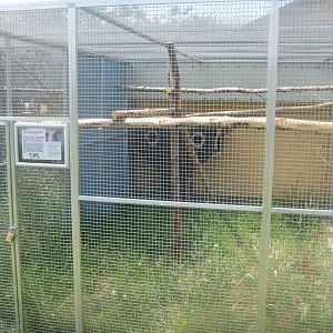 Dyrenes Verden - Cockatoo aviary