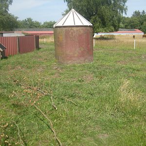 Dyrenes Verden - Pig exhibit