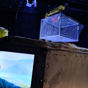 Fourth room - Odd theming