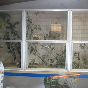 Dyrenes Verden - "Bird hallway" - Old cages