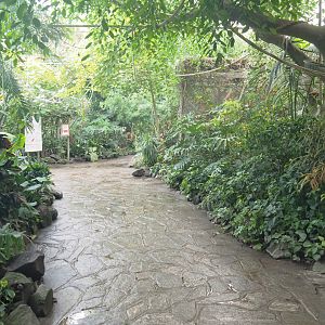 View in the Tropicalia greenhouse, 2022-09-14