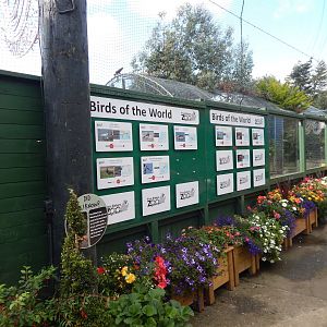 Mixed aviary - signage 200922