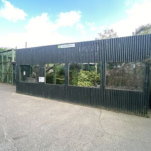 Vervet monkey enclosure 200922