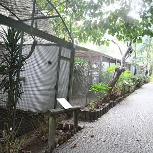 Zoo de Lourosa: row of Parrot Aviaries