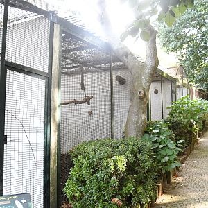 Zoo de Lourosa: row of Parrot Aviaries