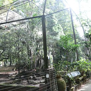 South American Mixed Aviary (Zoo Lourosa)