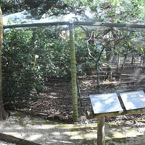Mixed Aviary (Zoo Lourosa)
