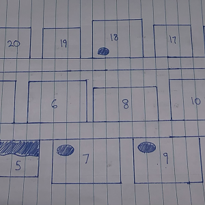 map of Africa (Dream Zoo)