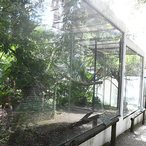 Row of Hornbill Aviaries (Zoo Lourosa)