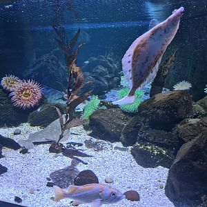 Fourth room - view from side window