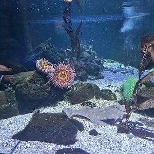 Fourth room - view from side window