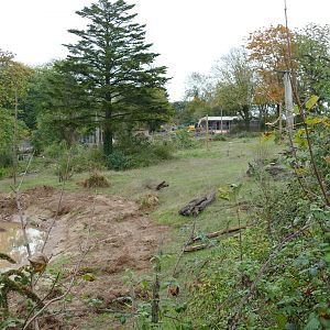 Giraffe & Zebra developments, October 2022