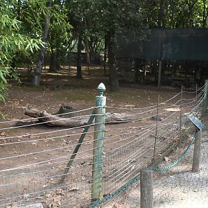 Rheas/Egyptian Geese paddock (Zoo Lourosa)