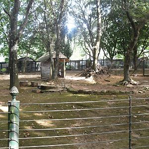 Crowned Cranes/Storks paddock (Zoo Lourosa)