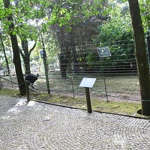 One of Cassowary paddocks (Zoo Lourosa)
