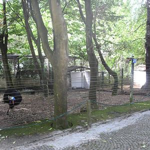 One of Cassowary paddocks (Zoo Lourosa)