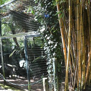 Doves and Lapwings Aviary (Zoo Lourosa)