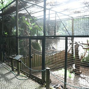 Row of Aviaries for Pheasants and Turacos (Zoo Lourosa)