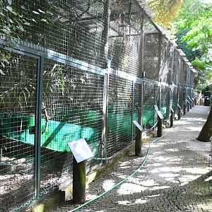 Row of Pheasant Aviaries (Zoo Lourosa)