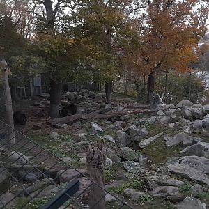 Part of one of the two  Brown bear enclosures