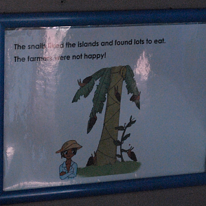 Partula Snails.. manga-style ! - Marwell Zoological Park 2022