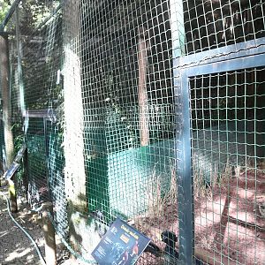 Row of Aviaries with Guans and Curassows (Zoo Lourosa)