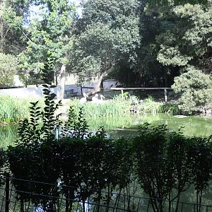 Pelican Lake (Zoo Lourosa)