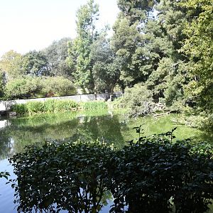Pelican Lake (Zoo Lourosa)